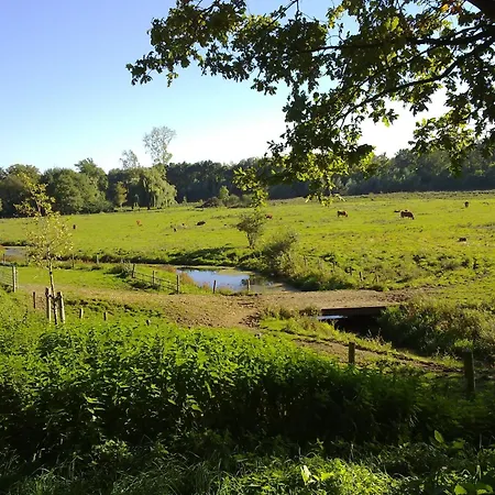 Near The Belgian Border, Cleaning Included *